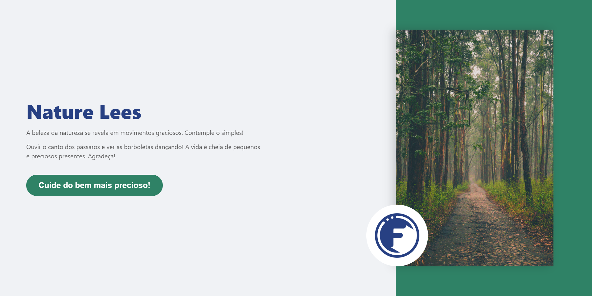  Theme widget global modelo simples institucional