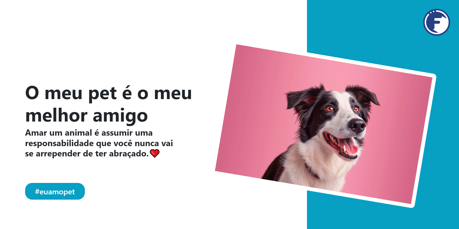 Theme widget global meu pet meu amgio